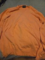 Alan Paine Cashmere Trui Maat 54, Ophalen of Verzenden, Zo goed als nieuw, Maat 52/54 (L), Alan Paine