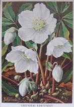 voor het kind - kerstroos - J. Voerman - 1962 - nieuw, Verzamelen, Ansichtkaarten | Themakaarten, Verzenden, 1960 tot 1980, Ongelopen
