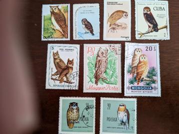 VOGELS (UILEN) ;KAVEL 9 verschillenden beschikbaar voor biedingen