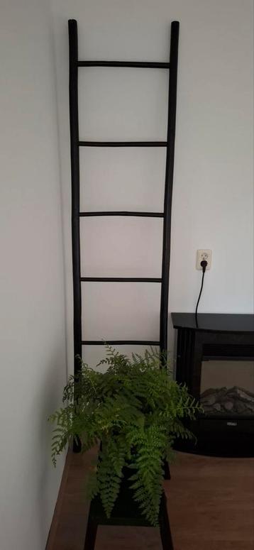 Zwarte decoratieve ladder - 220x51cm beschikbaar voor biedingen