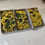 kunstbloemen 3 dozen gele roosjes, Huis en Inrichting, Ophalen of Verzenden, Nieuw