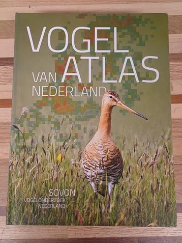 Vogelatlas van Nederland beschikbaar voor biedingen