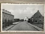 Zuidland Wilhelminastraat ca 1955, Verzamelen, Ansichtkaarten | Nederland, Ophalen of Verzenden, 1940 tot 1960, Ongelopen, Zuid-Holland