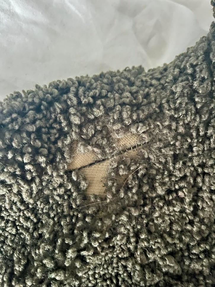 Zara Groene Teddy Jas - Maat L, Kleding | Dames, Jassen | Winter, Zo goed als nieuw, Maat 38/40 (M), Groen, Ophalen