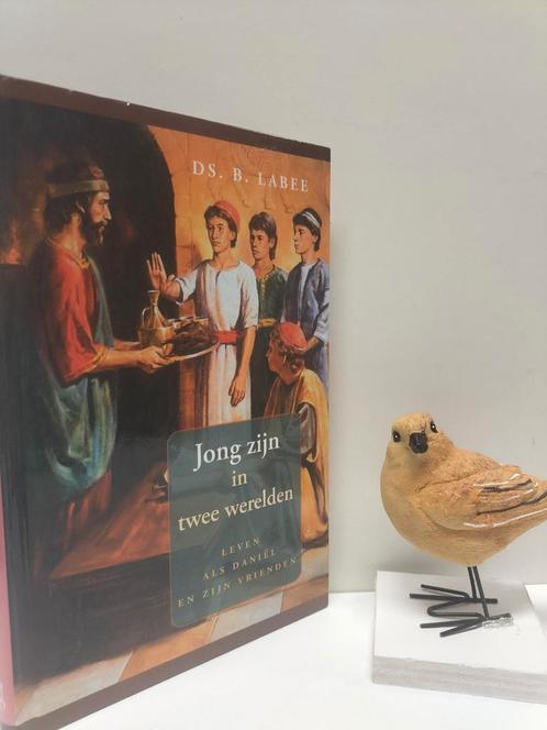 Labee, Ds. B.; Jong zijn in twee werelden, Boeken, Godsdienst en Theologie, Gelezen, Christendom | Protestants, Ophalen of Verzenden