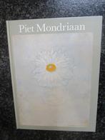 kunst boek - Piet Mondriaan 1872-1944, Ophalen of Verzenden, Gelezen, Schilder- en Tekenkunst
