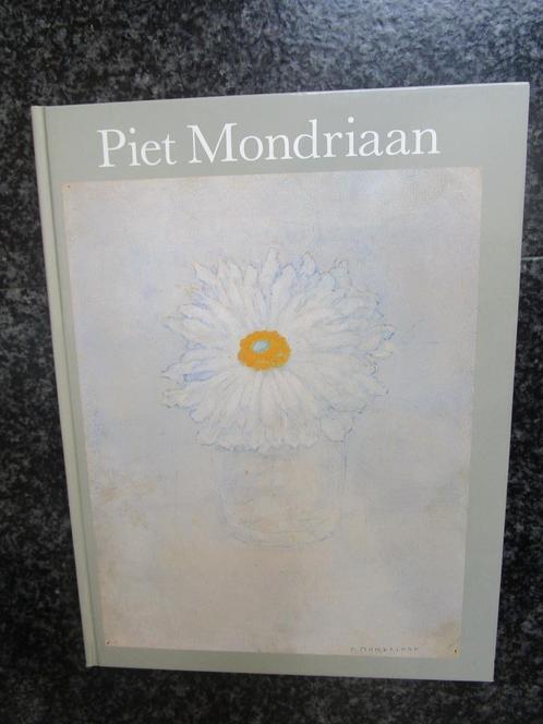 kunst boek - Piet Mondriaan 1872-1944, Boeken, Kunst en Cultuur | Beeldend, Gelezen, Schilder- en Tekenkunst, Ophalen of Verzenden