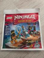 Nieuwe Lego Ninjago Polybag - Arin vs. Dragonian, Kinderen en Baby's, Speelgoed | Duplo en Lego, Ophalen of Verzenden, Nieuw