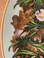 BUND Wandbord Tierjunge Conrad Franz, Ophalen of Verzenden