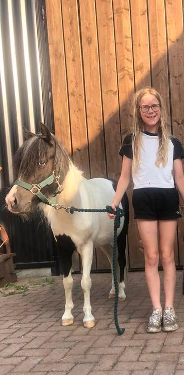 Nmprs pony’s moeder 1e premie en dochter, Dieren en Toebehoren, Pony's, Merrie, Onbeleerd, Recreatiepony, 3 tot 6 jaar, Ontwormd