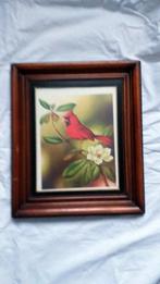 Schilderij mooie rode vogel in eiken lijst, Antiek en Kunst, Kunst | Schilderijen | Klassiek, Ophalen of Verzenden