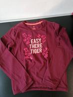 Als nieuw longsleeve WE fashion 146 /152 2 euro, Kinderen en Baby's, Kinderkleding | Maat 146, Meisje, Ophalen of Verzenden, Zo goed als nieuw