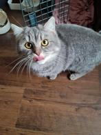 Dekkater, Dieren en Toebehoren