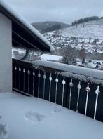 Verse sneeuw in Winterberg - Niedersfeld - AANBIEDING, Vakantie, Vakantiehuizen | Duitsland, Dorp, 2 slaapkamers, Afwasmachine