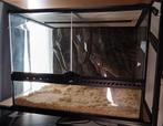 Terrarium 60 x 47 x 45, Dieren en Toebehoren, Ophalen of Verzenden, Zo goed als nieuw, Terrarium of Paludarium