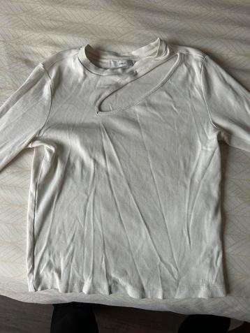 Shirtje maat L beschikbaar voor biedingen