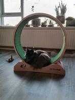 Loopwiel voor katten., Dieren en Toebehoren, Ophalen, Zo goed als nieuw, Overig speelgoed