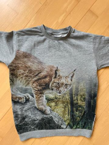 Supergave kattentrui van merk Molo maat 128 beschikbaar voor biedingen