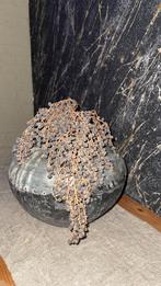 Landelijke vaas, Ophalen, Overige materialen, Overige kleuren, Zo goed als nieuw