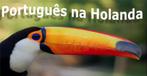 Portugese Les in Echt, Midden -Limburg, Diensten en Vakmensen, Bijles, Privé-les en Taalles, Privéles, Taalles