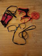 Katten/kitten tuigjes.1 met 5m lange lijn!, Ophalen of Verzenden