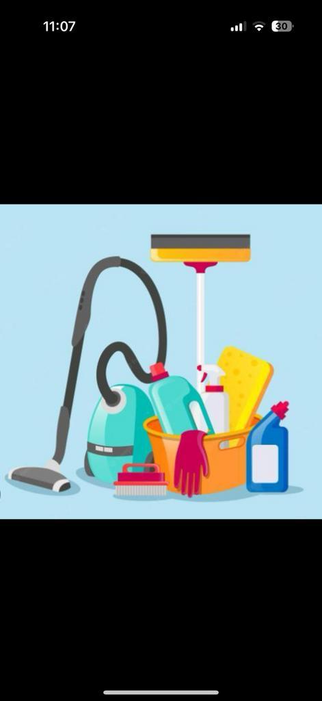 Schoonmaakster aangeboden, Vacatures, Vacatures | Schoonmaak en Facilitaire diensten, Vanaf 10 jaar, Overige vormen, Overige uren