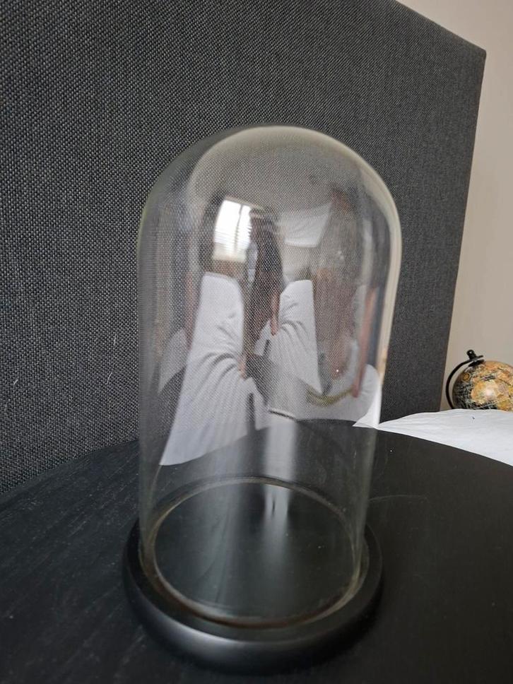 Glazen stolp met zwarte voet, Huis en Inrichting, Woonaccessoires | Stolpen, Zo goed als nieuw, Ophalen