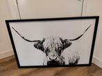 IKEA Schilderij - Highland Cow, Ophalen, 50 tot 75 cm, Zo goed als nieuw, 75 tot 100 cm