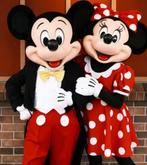 Mascotte op jouw feestje !, Ophalen of Verzenden, Nieuw, Verjaardag