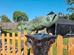 🐟🐟 Brons - XL Arowana Vis 60cm, Vis, Zoetwatervis