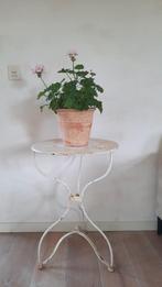 Franse ijzeren ronde tafel (nuzzelspul), Ophalen, Minder dan 55 cm, Gebruikt, Rond