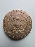 Bronzen penning Het Nederlandsche Roode Kruis, Verzenden, Brons, Nederland