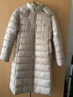 Winterjas gewatteerd., Kleding | Dames, Ophalen of Verzenden, Zo goed als nieuw, Maat 38/40 (M)