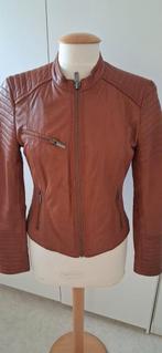 Leren jasje bruin maat M merk Transmission in nieuwstaat, Kleding | Dames, Maat 38/40 (M), Bruin, Transmission, Ophalen of Verzenden