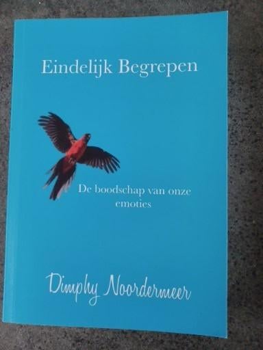 Dimphy Noordermeer - Eindelijk begrepen, Boeken, Schoolboeken, Zo goed als nieuw, Nederlands, Overige niveaus, Ophalen of Verzenden