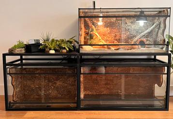  Complete Terrarium Set Rode Baardagaam Allterra Kwaliteit! beschikbaar voor biedingen