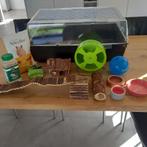 Te koop: hamster hok + accessoires, Dieren en Toebehoren, Gebruikt, Minder dan 75 cm, Hok, Hamster