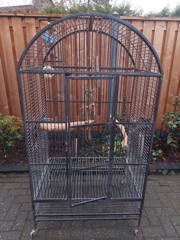 Een papegaaien /grote vogelkooi, Dieren en Toebehoren, Vogels | Hokken en Kooien, Gebruikt, Vogelkooi, Metaal, Ophalen