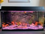90L aquarium, Dieren en Toebehoren, Ophalen, Gebruikt, Gevuld zoetwateraquarium