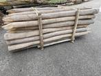 Robinia spintvrij geschuurd, 250ø12/14 cm, Tuin en Terras, Palen, Balken en Planken, Ophalen, Palen, Nieuw, Hardhout