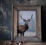 Hertenkop in landelijke houten lijst., Ophalen of Verzenden