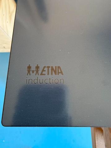 ETNA KIF670DS indictiekookplaat 70 breed (70x52) beschikbaar voor biedingen