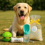 Groen Honden Pakket – Waterfles + Bot + Snackbal + Springbal, Dieren en Toebehoren, Frederik hendrikstraat 124, Nieuw, Ophalen of Verzenden