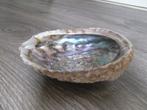 Abalone schelp - parlemoer, Ophalen of Verzenden, Schelp(en)