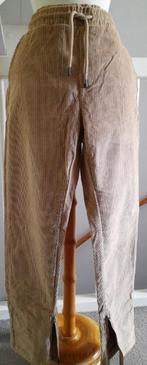 Nieuwe beige corduroy pantalon met kaartje , maat M=48/50, Kleding | Heren, Broeken en Pantalons, Ophalen of Verzenden, Nieuw