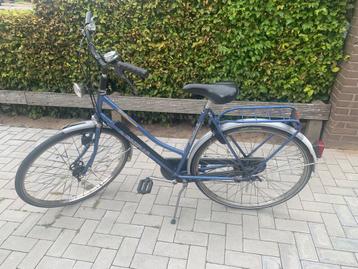 Gazelle Trendy beschikbaar voor biedingen