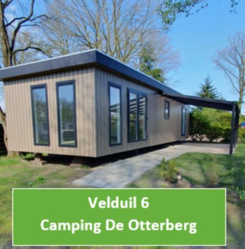 Chalets te koop op Camping de Otterberg (3 stuks), Huizen en Kamers, Recreatiewoningen te koop, Drenthe, Chalet, E
