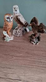 3 mooie Gesigneerd vogels topconditie, Ophalen of Verzenden, Zo goed als nieuw, Dier