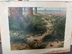 Oude schoolplaat ‘op de heide’, Antiek en Kunst, Antiek | Schoolplaten, Ophalen, Natuur en Biologie
