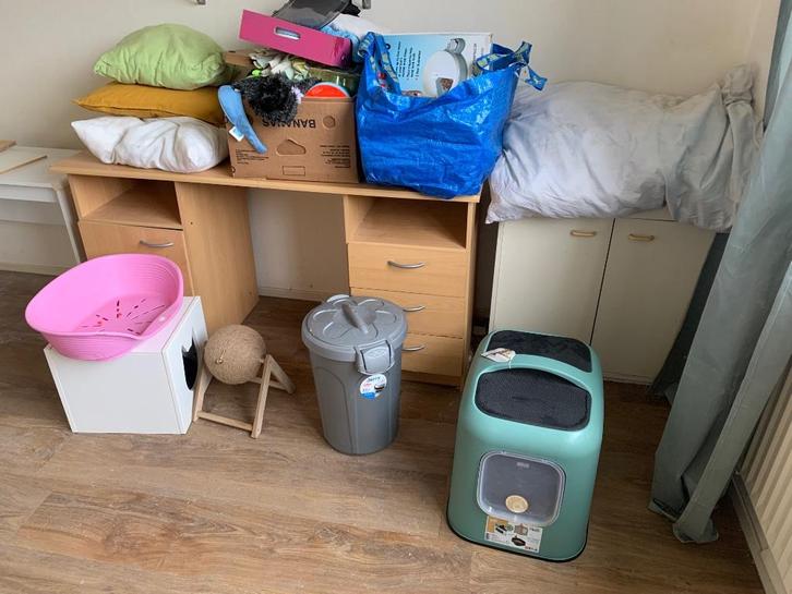 Honden- en kattenspullen voor dierenhulporganisatie, Dieren en Toebehoren, Katten-accessoires, Gebruikt, Ophalen